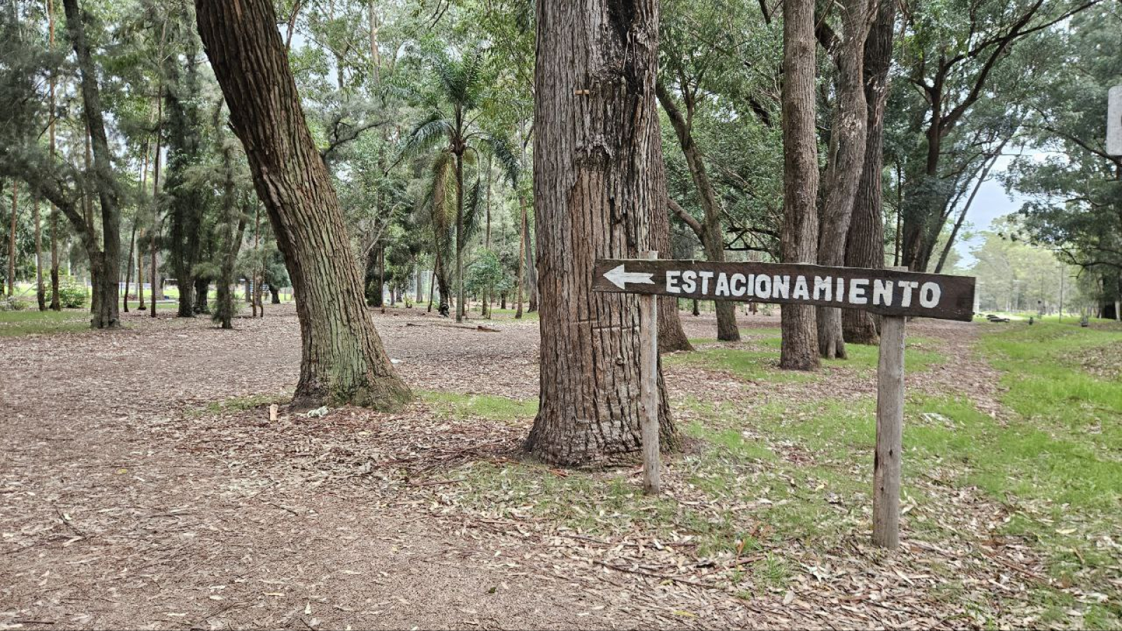 estacionamiento
