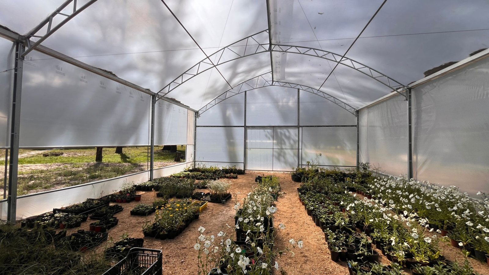 vivero