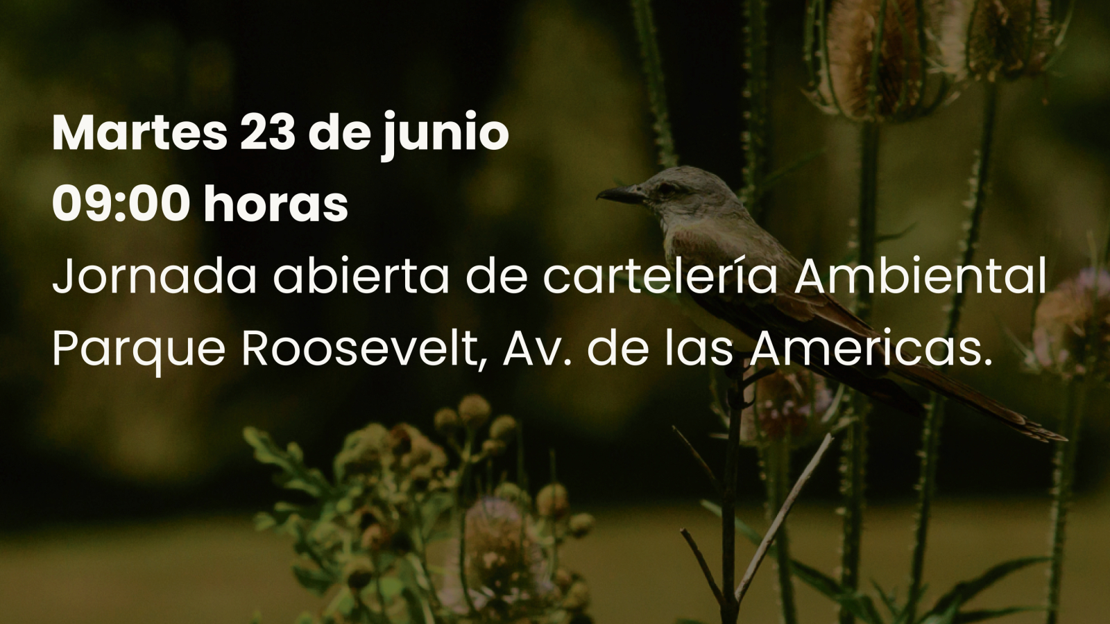 carteles 