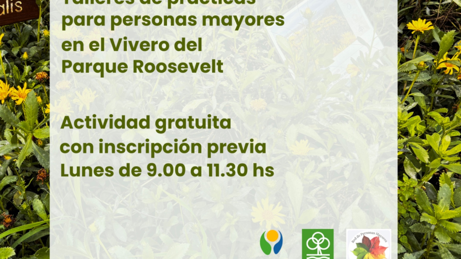 taller vivero adultos mayores 