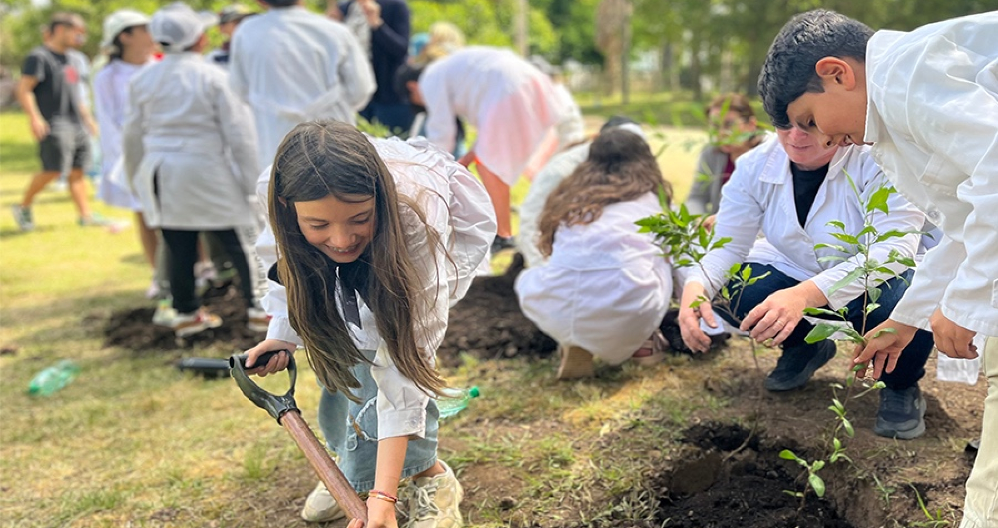 Plan de plantaciones 2026