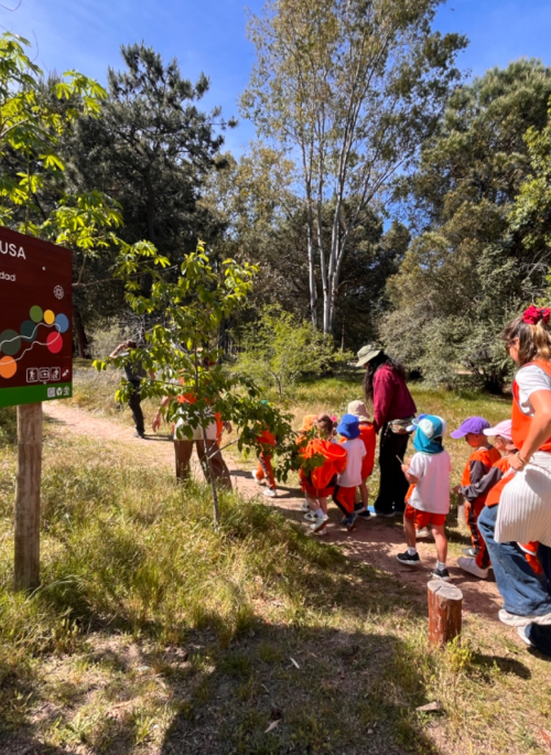 Actividades de cierre