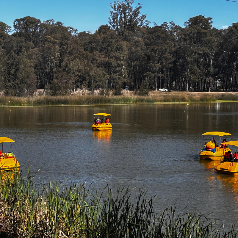 Botes en el lago
