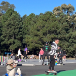 Patinlandia