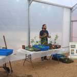 presentacion vivero 