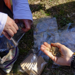 agroecologia 