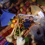 agroecologia 