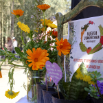 agroecologia 